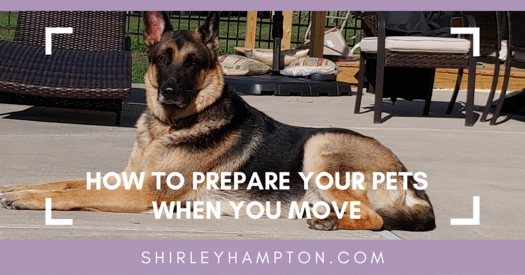 How to Prepare Your Pets When you Move