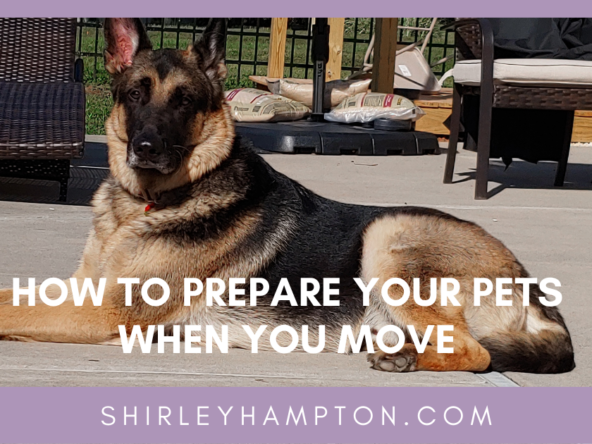 How to Prepare Your Pets When you Move